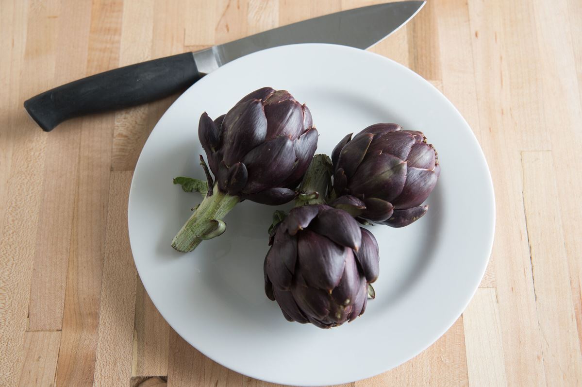 Colorado Star – Artichoke Seed